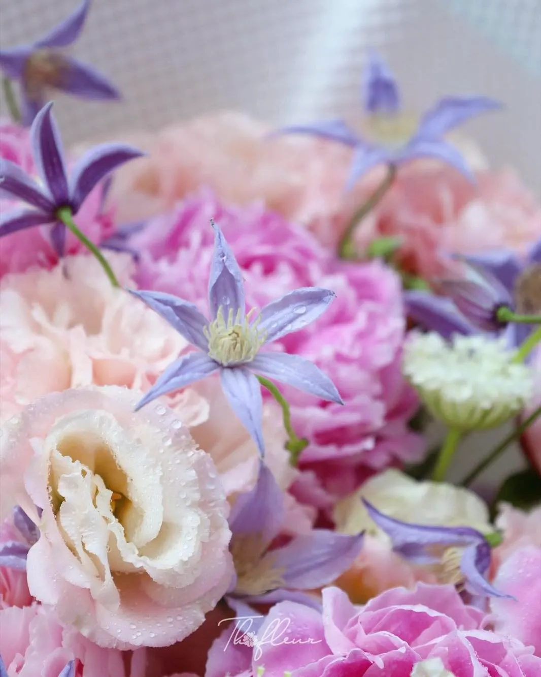 Bó hoa mẫu đơn 19