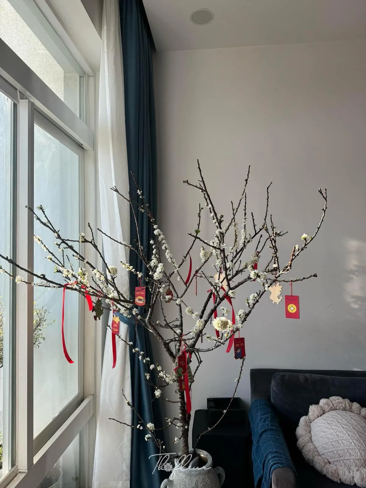 Cành mận Tây Bắc 16