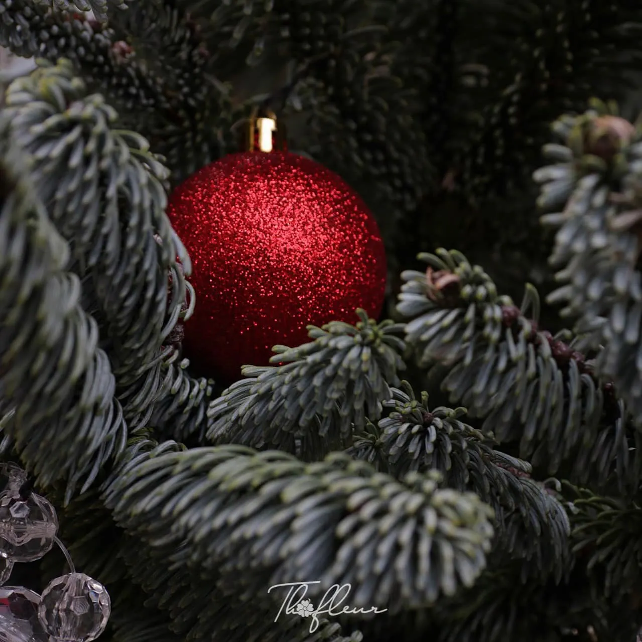 Bó hoa christmas 03