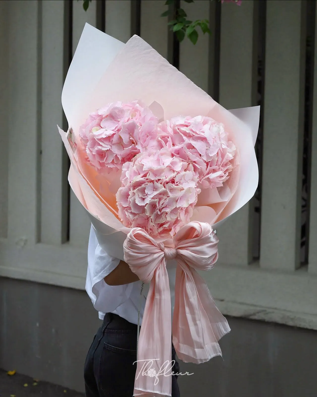 Bó hoa cẩm tú cầu 21