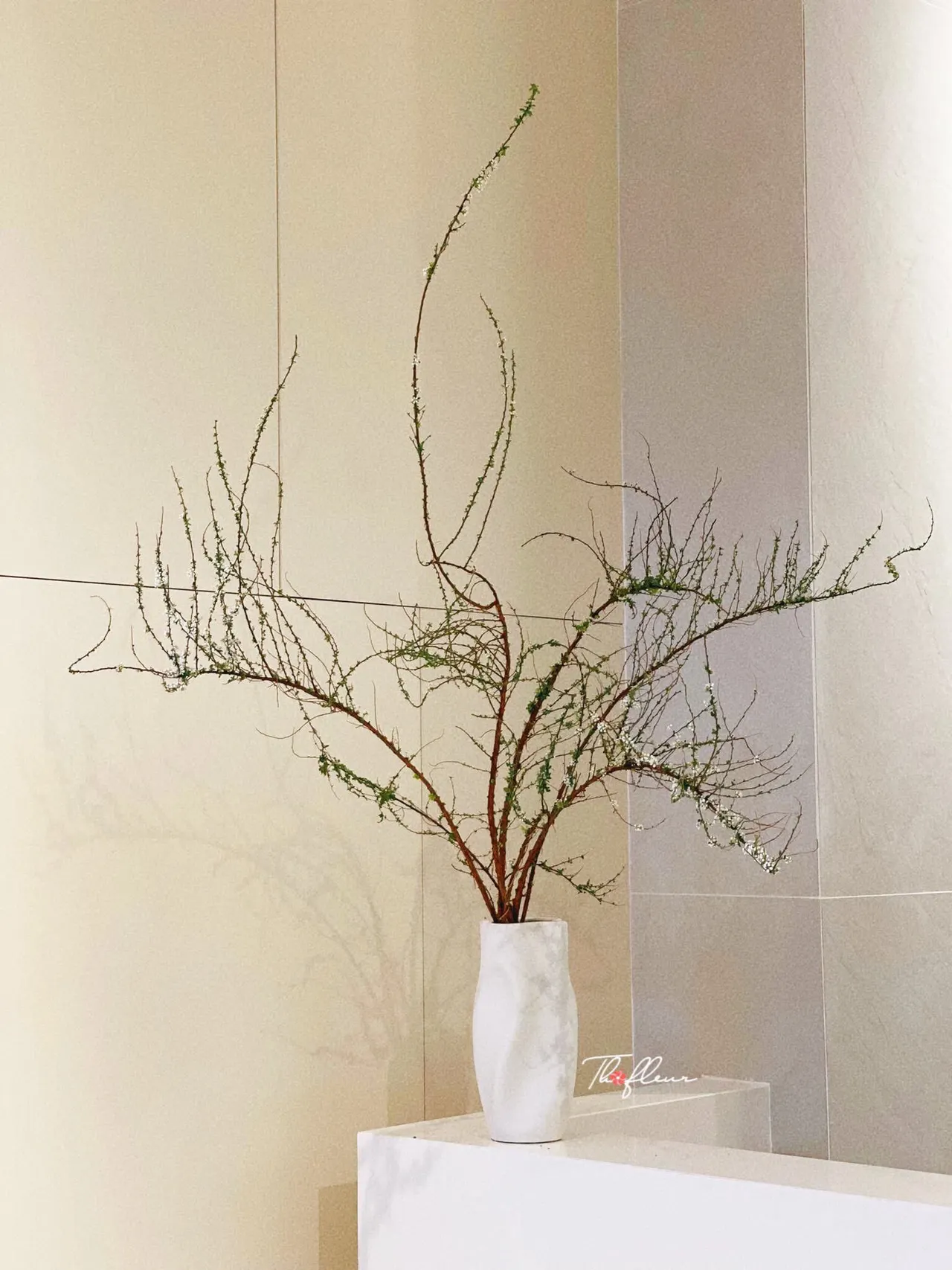 Cành Tuyết Mai 08