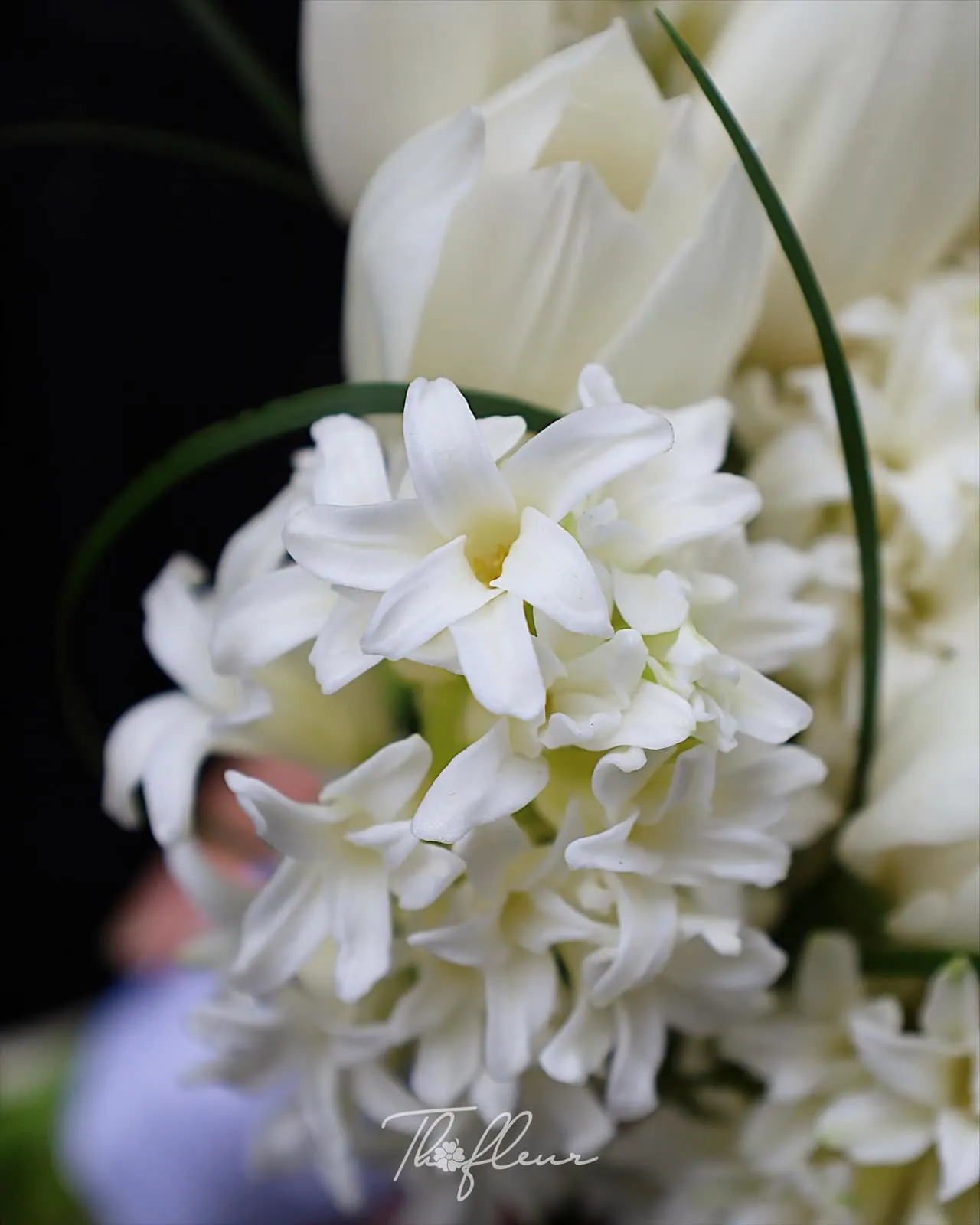 Hoa cưới dạ lan hương 08