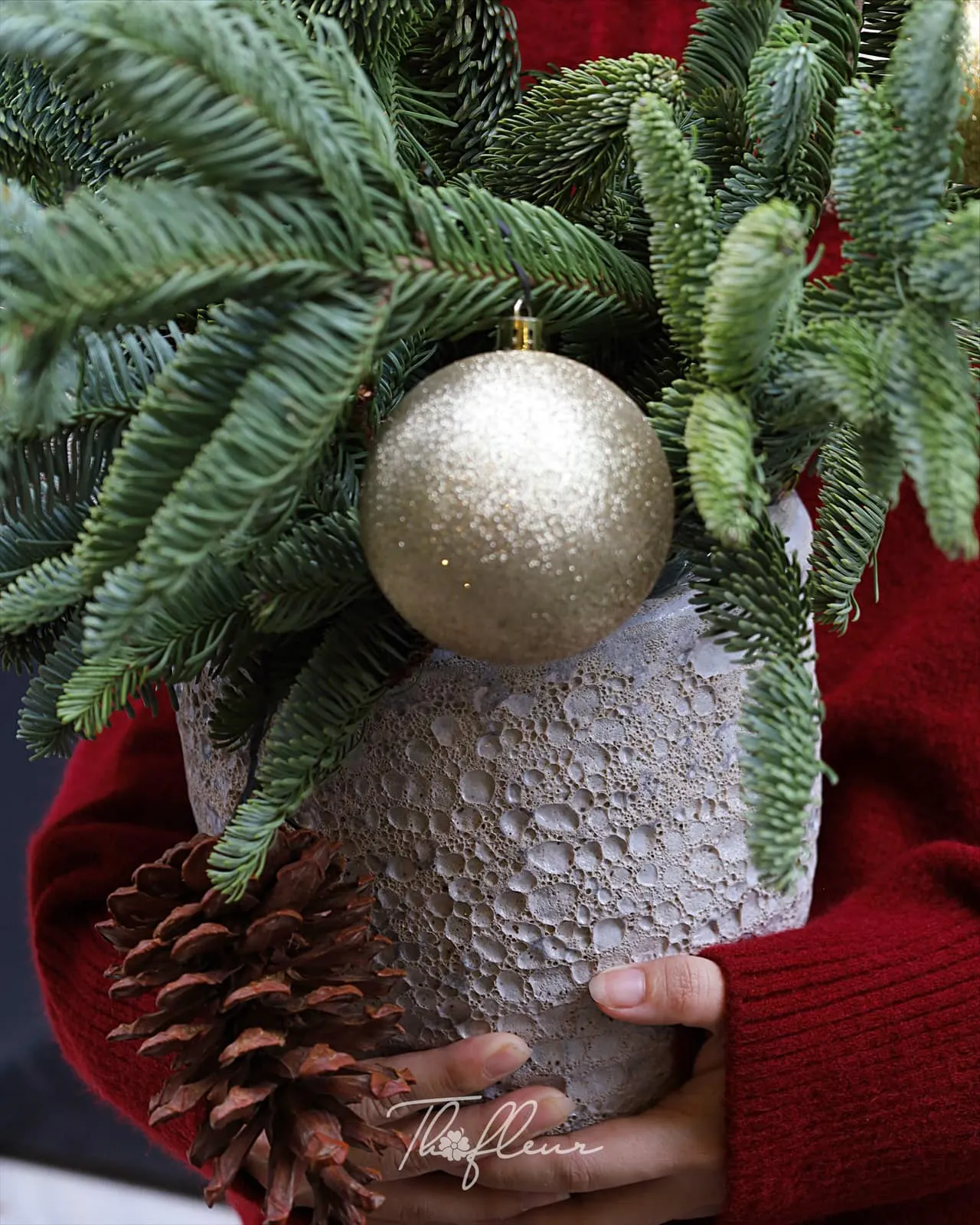 Chậu hoa christmas 03