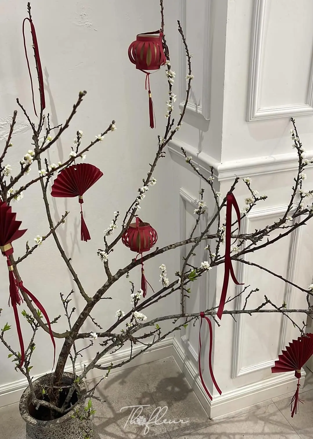 Cành mận Tây Bắc 03