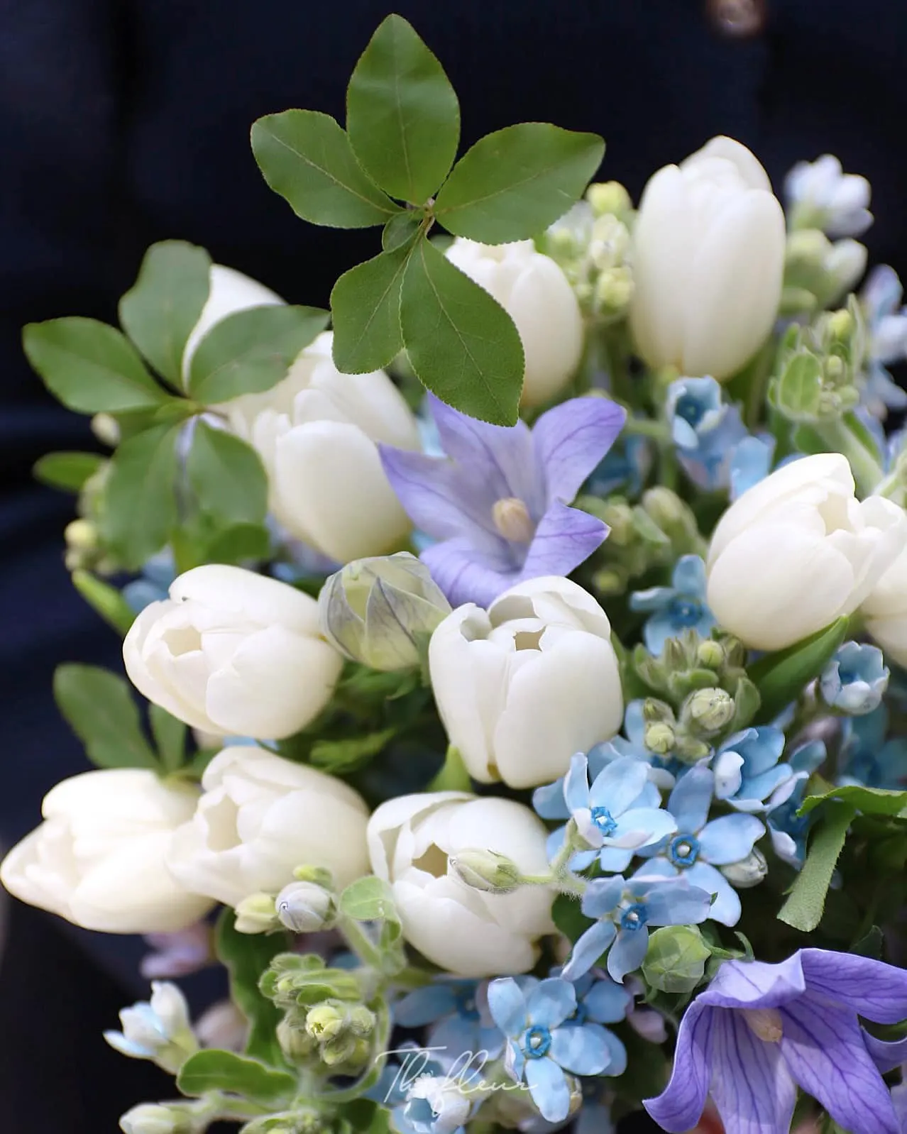 Hoa cưới tulip 36